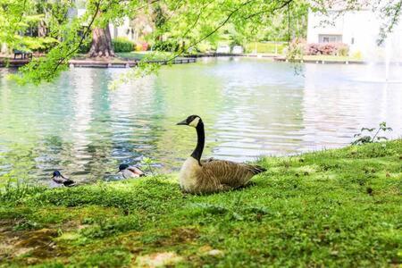 Experience Sacramento With Tranquil Lakeside Views Exterior photo